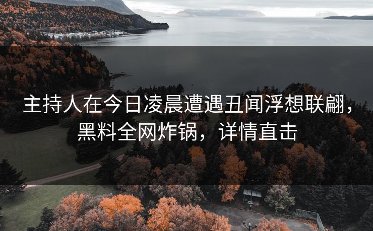 主持人在今日凌晨遭遇丑闻浮想联翩，黑料全网炸锅，详情直击