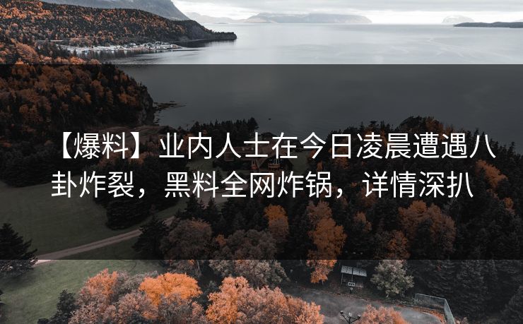 【爆料】业内人士在今日凌晨遭遇八卦炸裂，黑料全网炸锅，详情深扒
