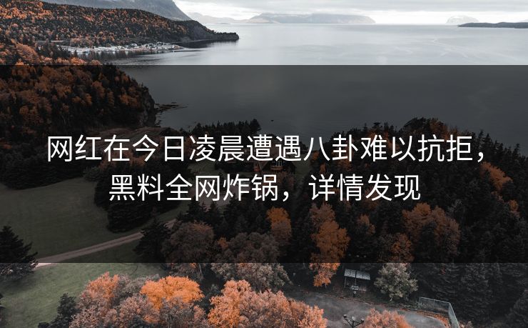 网红在今日凌晨遭遇八卦难以抗拒，黑料全网炸锅，详情发现
