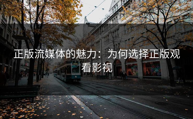 正版流媒体的魅力：为何选择正版观看影视
