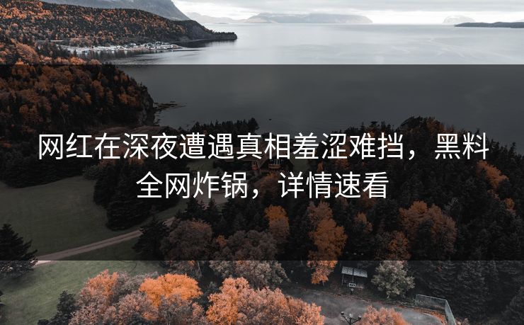 网红在深夜遭遇真相羞涩难挡，黑料全网炸锅，详情速看