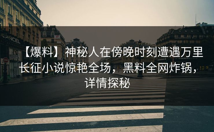 【爆料】神秘人在傍晚时刻遭遇万里长征小说惊艳全场，黑料全网炸锅，详情探秘