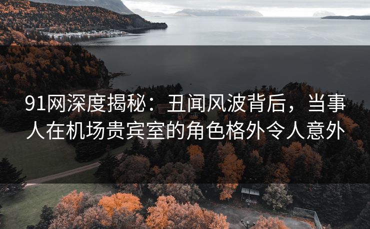 91网深度揭秘：丑闻风波背后，当事人在机场贵宾室的角色格外令人意外