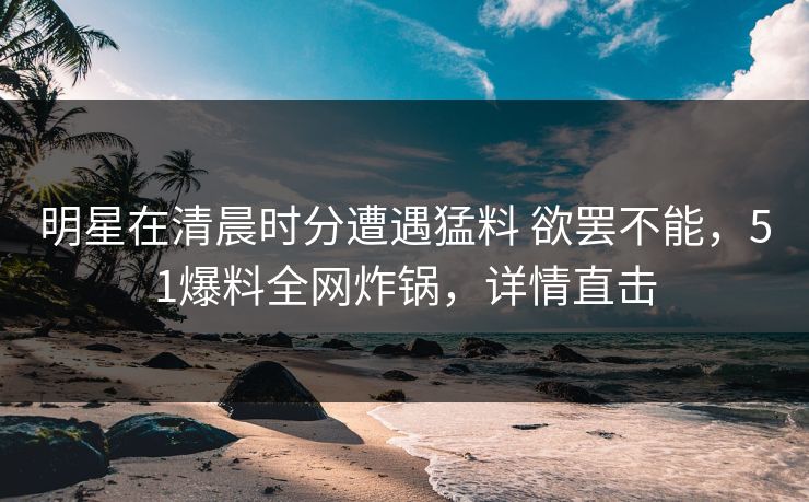 明星在清晨时分遭遇猛料 欲罢不能，51爆料全网炸锅，详情直击